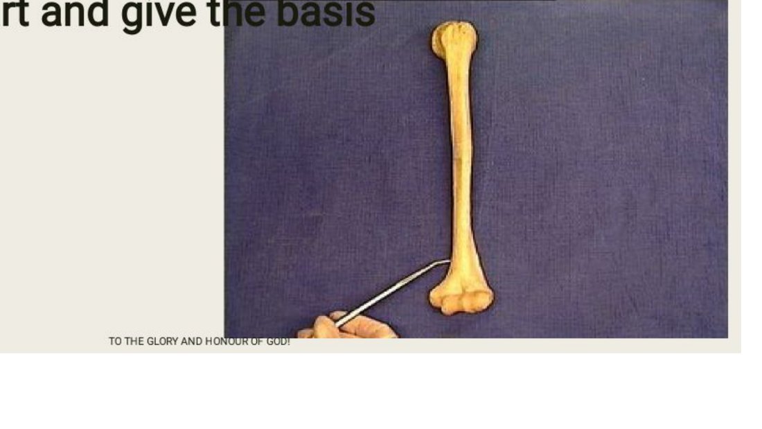 Q15 - humerus with the surgical neck pinned