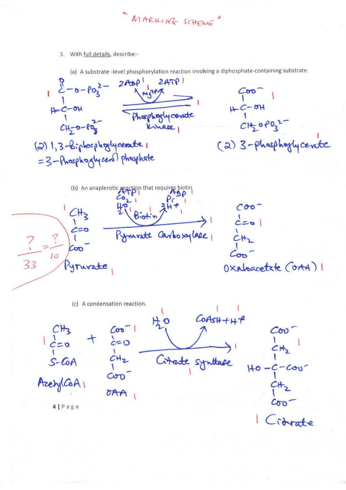 Chemical equation showing 1,3-bisphosphoglycerate converted to 3-phosphoglycerate by phosphoglycerate kinase, with ADP to ATP conversion