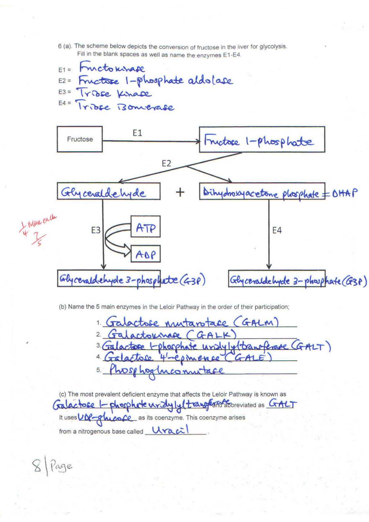 Flowchart showing conversion of Fructose to Fructose 1-phosphate via E1, then into Glyceraldehyde + Dihydroxyacetone phosphate (DHAP) via E2