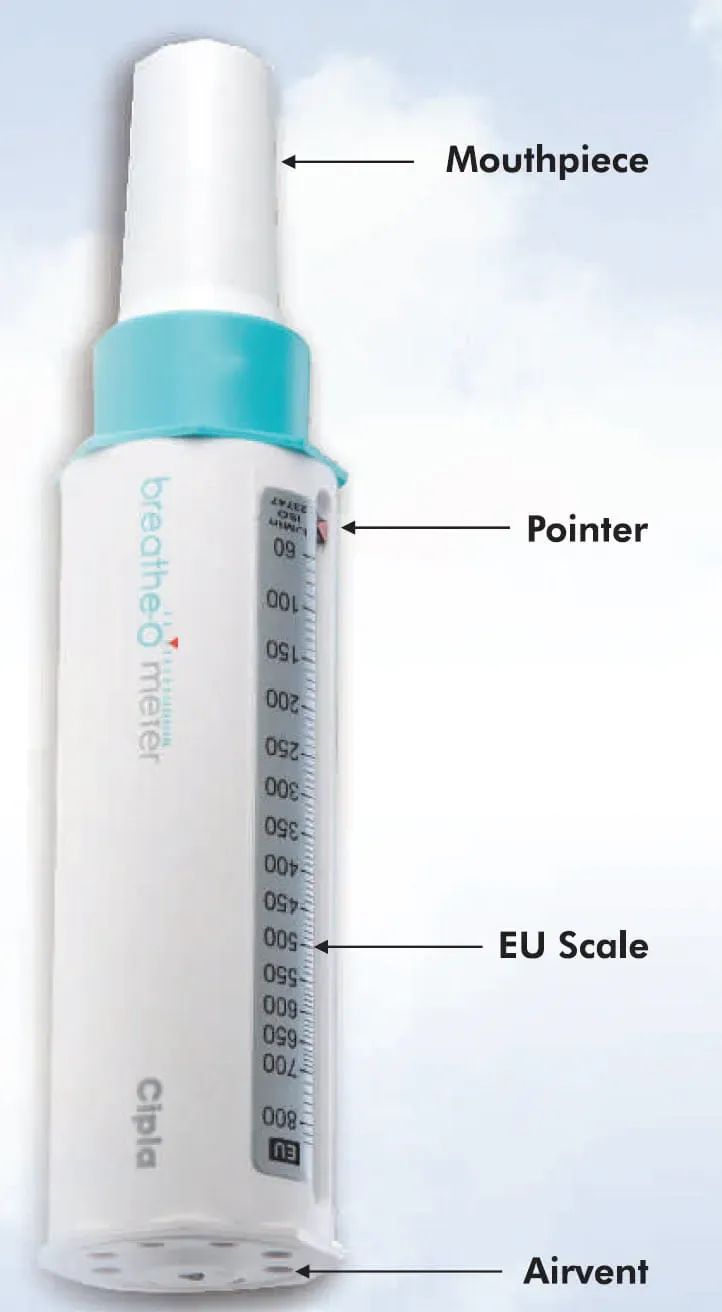 Peak expiratory flow and lung function testing