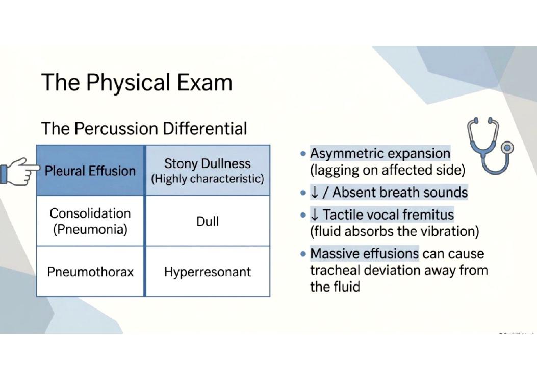 Physical examination and percussion differential